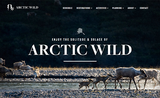 Arctic Wild